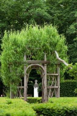 chateau chenonceau Fransa loire valley bahçeler