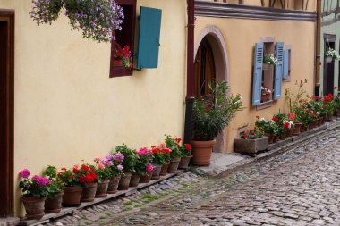 eguisheim içinde alsace, Fransa Köyü ahşap evler