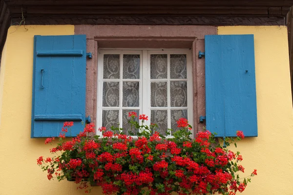 Fereastra unei case în Eguisheim, Alsacia, Franța — Fotografie, imagine de stoc