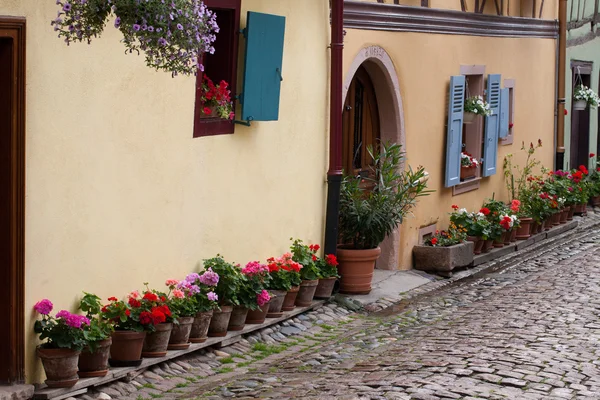 Roubené domy v obci eguisheim v Alsasku, Francie — Stock fotografie