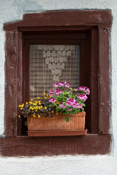 Fereastra unei case în Eguisheim, Alsacia, Franța — Fotografie, imagine de stoc