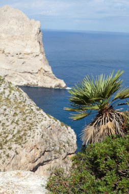 Мис пляжу Ка'н на Майорці, Балеарські острови, Іспанія
