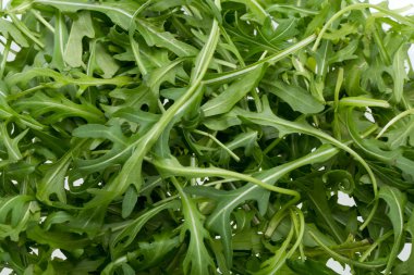 ruccola yaprak yığını