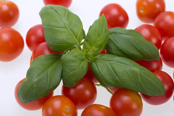 Fresh cherry tomatoes with basil, on white background — Stock Photo, Image