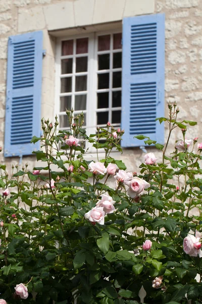 La fenêtre romantique aux roses rouges — Photo