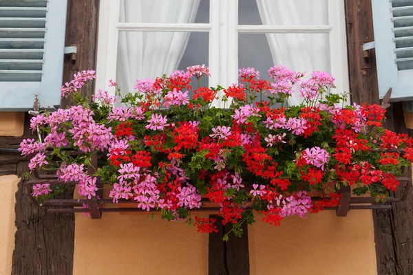 Janela de uma casa em Eguisheim, Alsácia, França — Fotografia de Stock