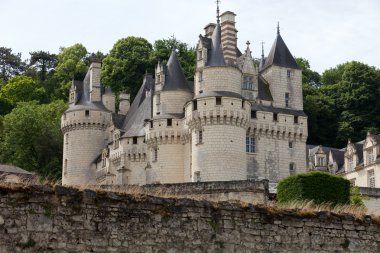 Castel rigny usse uyku güzellik Kalesi olarak bilinen ve onbirinci yüzyılda inşa edilmiş olan. Loire Vadisi