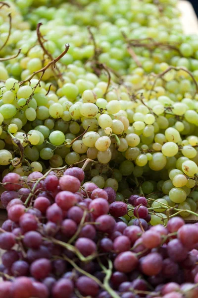 Uvas rojas a la venta en el mercado de agricultores locales . — Foto de Stock