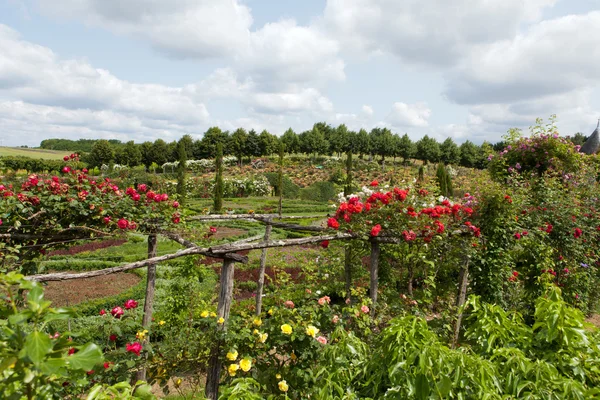 Subtle, sophisticated and full taste garden and chateau La Chatonniere near Villandry. Loire Valley — Stock Photo, Image