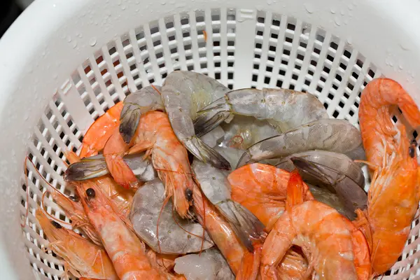 Fresh raw Shrimps — Stock Photo, Image