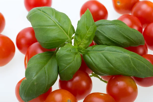 Fresh cherry tomatoes with basil, on white background — Stock Photo, Image