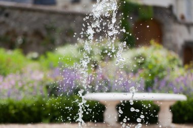 ince, sofistike ve tam lezzet Bahçe ve chateau la chatonniere villandry yakınında. Loire Vadisi