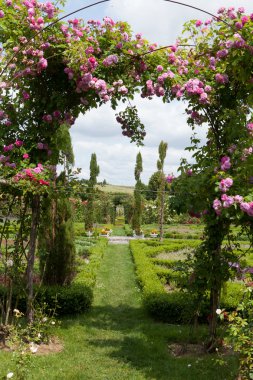 The romantic alley-way in the pergola from roses. Subtle and full taste garden and chateau La Chatonniere near Villandry. Loire Valley clipart