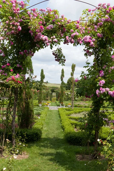 El callejón romántico en la pérgola de rosas. Jardín sutil y lleno de sabor y castillo La Chatonniere cerca de Villandry. Valle del Loira —  Fotos de Stock