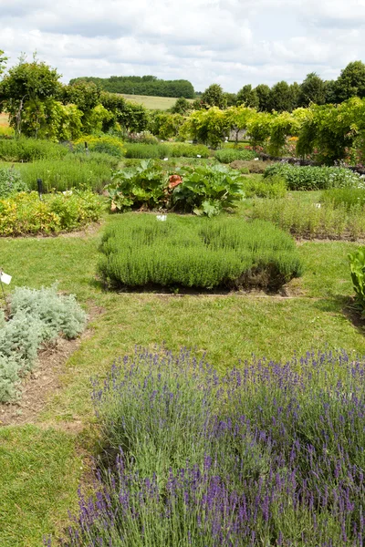 Subtilen, anspruchsvollen und geschmackvollen Garten und Chateau la chatonniere in der Nähe von Dörfern. Loiretal — Stockfoto