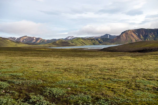 아이슬란드 지대에 이끼로 뒤덮인 — 스톡 사진