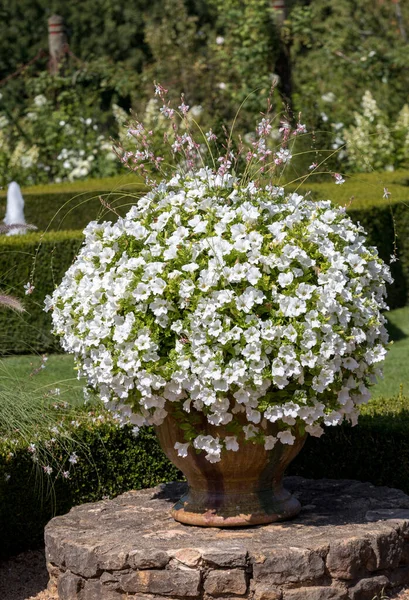 Bílá Zahrada Malebném Jardins Manoir Eyrignac Dordogne Francie — Stock fotografie