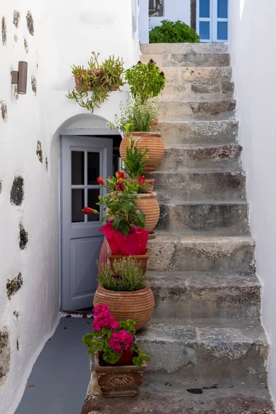 Keramiska Blomkrukor Branta Stentrappor Vid Imergovigli Santorini Grekland — Stockfoto