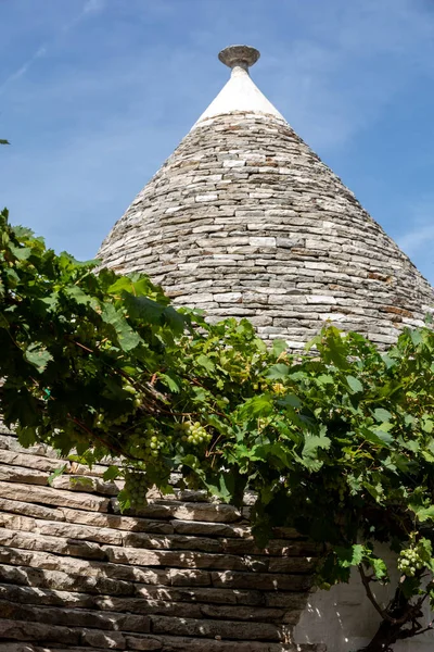 Winorośle Kamiennym Dachu Trulli House Alberobello Włochy Styl Budowy Jest — Zdjęcie stockowe