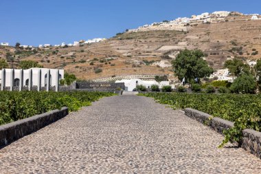 Santorini, Yunanistan - 2 Temmuz 2021: 1903 'te Argyros Konutu kuruldu, Santorini' deki en büyük özel üzüm bağlarının sahibi ve mevcut araziler 120 hektarı geçiyor