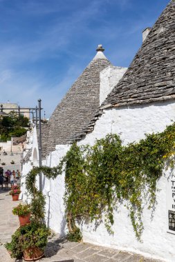 Alberobello, İtalya - 16 Eylül 2019: Trulli köyünde geleneksel beyaz evler. Alberobello, İtalya. Yapım tarzı İtalya 'nın Apulia bölgesindeki Murge bölgesine özgüdür (İtalyan Puglia bölgesinde). Kireç taşı ve temel taştan yapılmış..