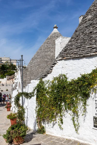 Alberobello, İtalya - 16 Eylül 2019: Trulli köyünde geleneksel beyaz evler. Alberobello, İtalya. Yapım tarzı İtalya 'nın Apulia bölgesindeki Murge bölgesine özgüdür (İtalyan Puglia bölgesinde). Kireç taşı ve temel taştan yapılmış..