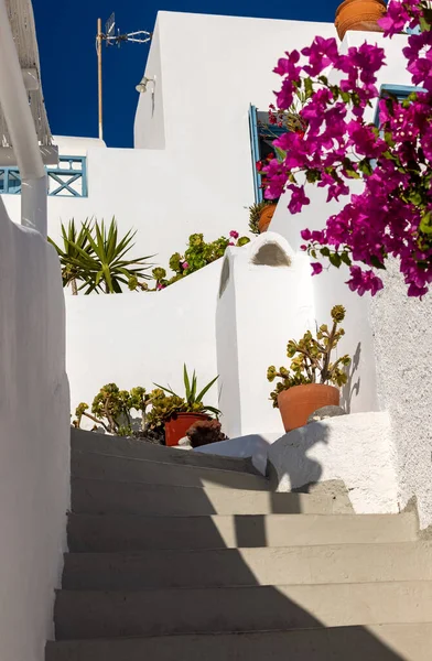 Bougainvilliers Rouges Grimpant Sur Mur Maison Blanchie Chaux Imerovigli Sur — Photo