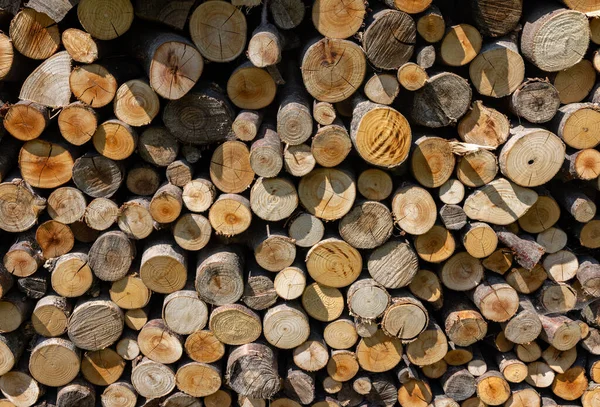 Stack Firewood Prepared Winter — Stock Photo, Image