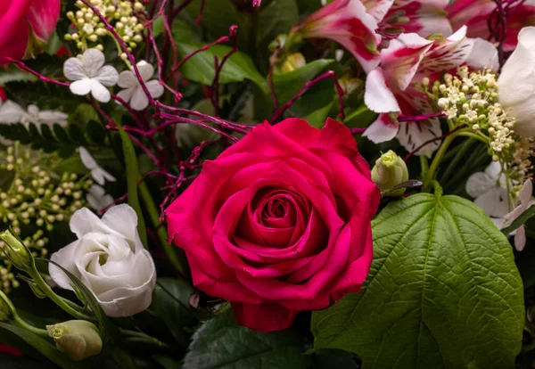 Beautiful Florist Bouquet Roses Freesias — Stock fotografie