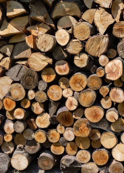 Stack Firewood Prepared Winter — Stock Photo, Image