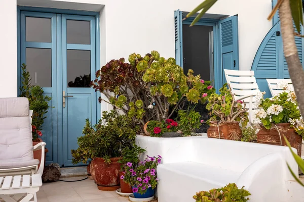 Flowers Ceramic Pots Front Whitewashed House Imerovigli Santorini Island Cyclades — стокове фото