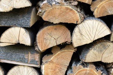  Kış için hazırlanmış odun yığını 