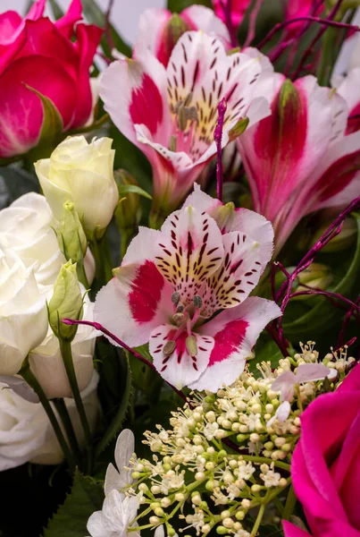 Beautiful Florist Bouquet Roses Freesias — Fotografia de Stock