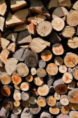  Kış için hazırlanmış odun yığını 