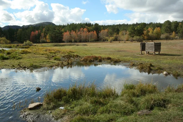 Paisaje otoñal — Foto de Stock