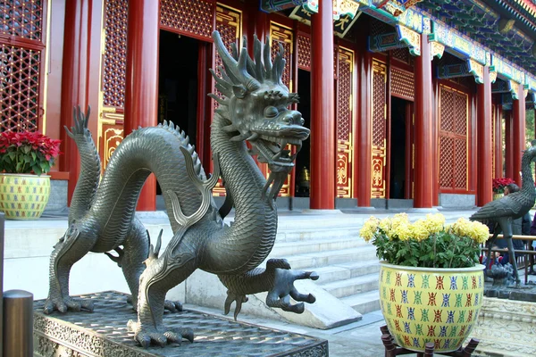 Dragon dans le palais impérial — Photo