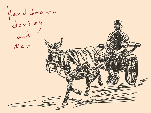 Hand drawn donkey and man Vector — Stock Vector