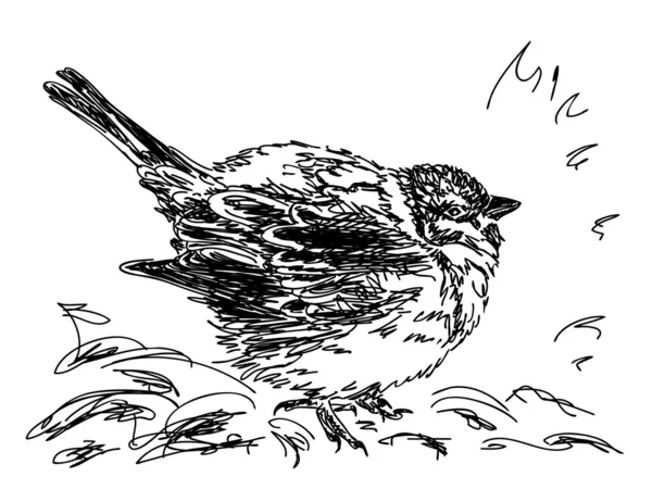 Ručně kreslený pták — Stockový vektor
