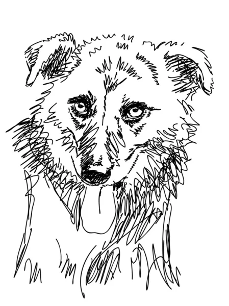 Ręcznie rysowane pies wektor — Wektor stockowy