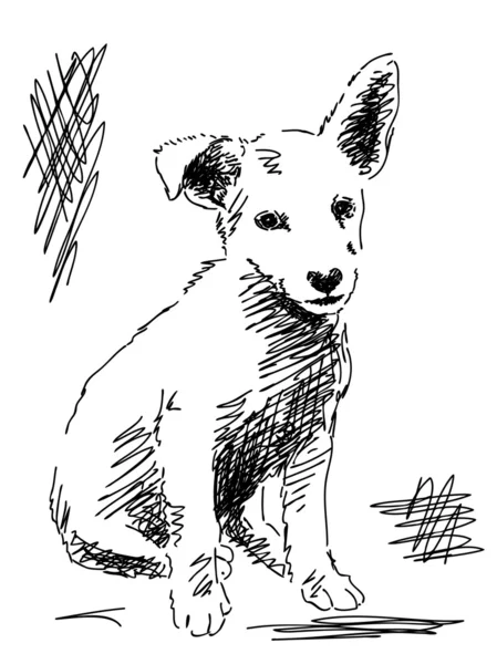 Perro dibujado a mano Vector — Archivo Imágenes Vectoriales