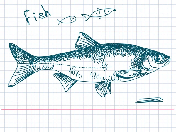 Vector de pescado dibujado a mano — Archivo Imágenes Vectoriales