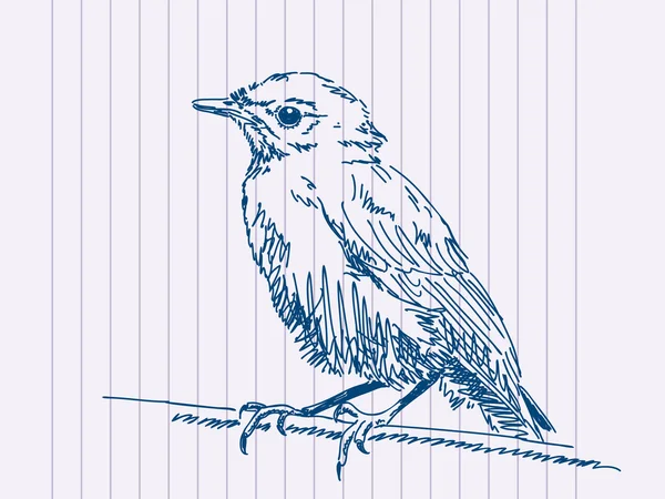 Uccello disegnato a mano — Vettoriale Stock