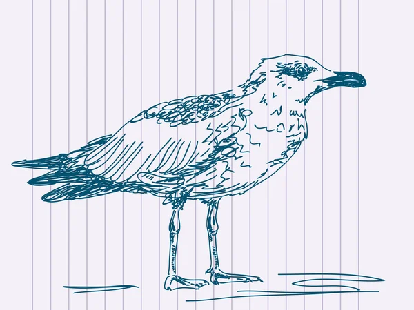 Mouette de mer dessinée à la main — Image vectorielle