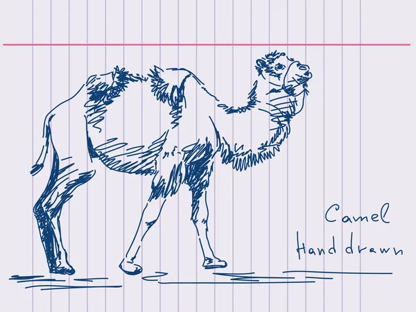Elle çizilmiş deve vektör — Stok Vektör