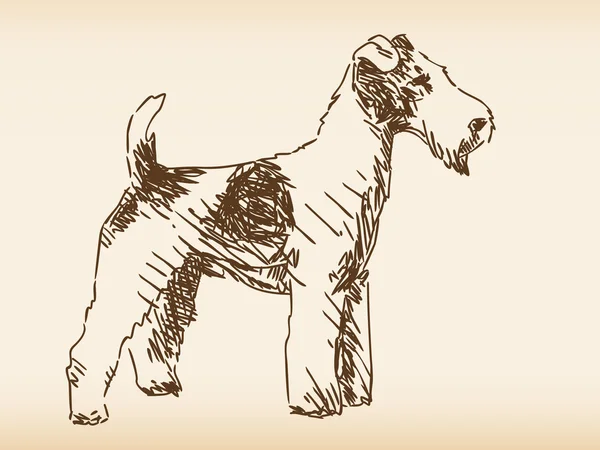 Hand getrokken hond — Stockvector