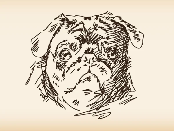Kézzel rajzolt kutya — Stock Vector