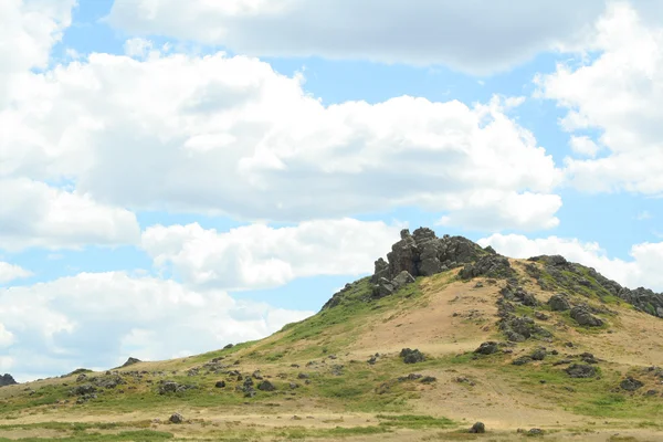 Paisaje estepa — Foto de Stock