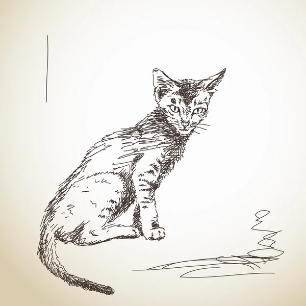 Hand drawn skinny little cat — Stock Vector