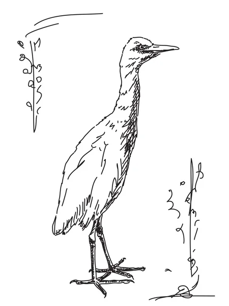 Pássaro desenhado à mão Little Egret —  Vetores de Stock