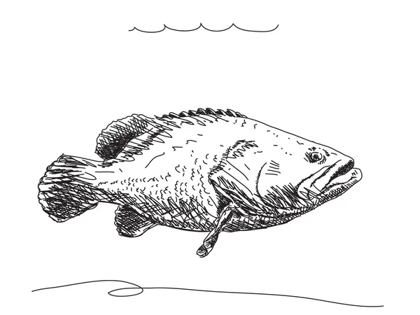 Ručně tažené ryb — Stockový vektor